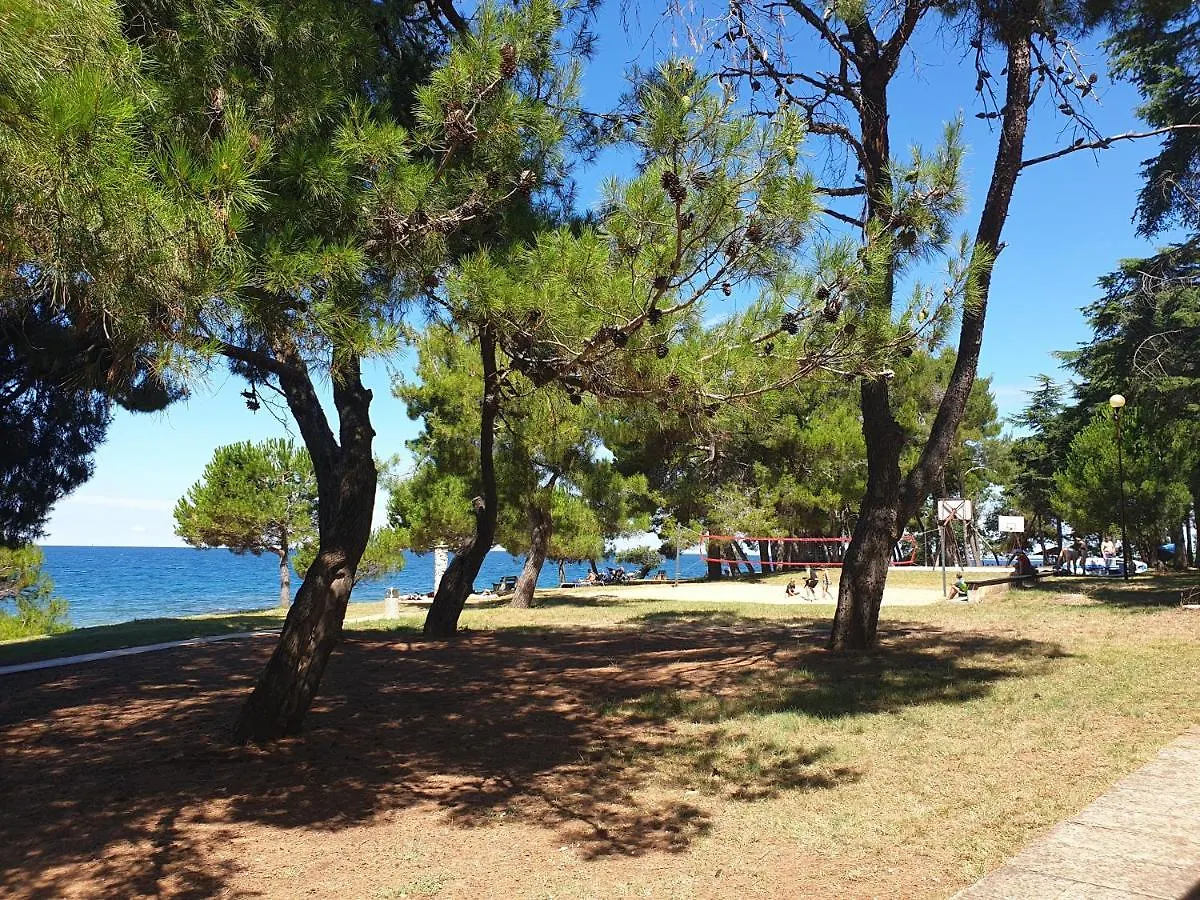 Youth Hostel Pinesta Novigrad  Croatia