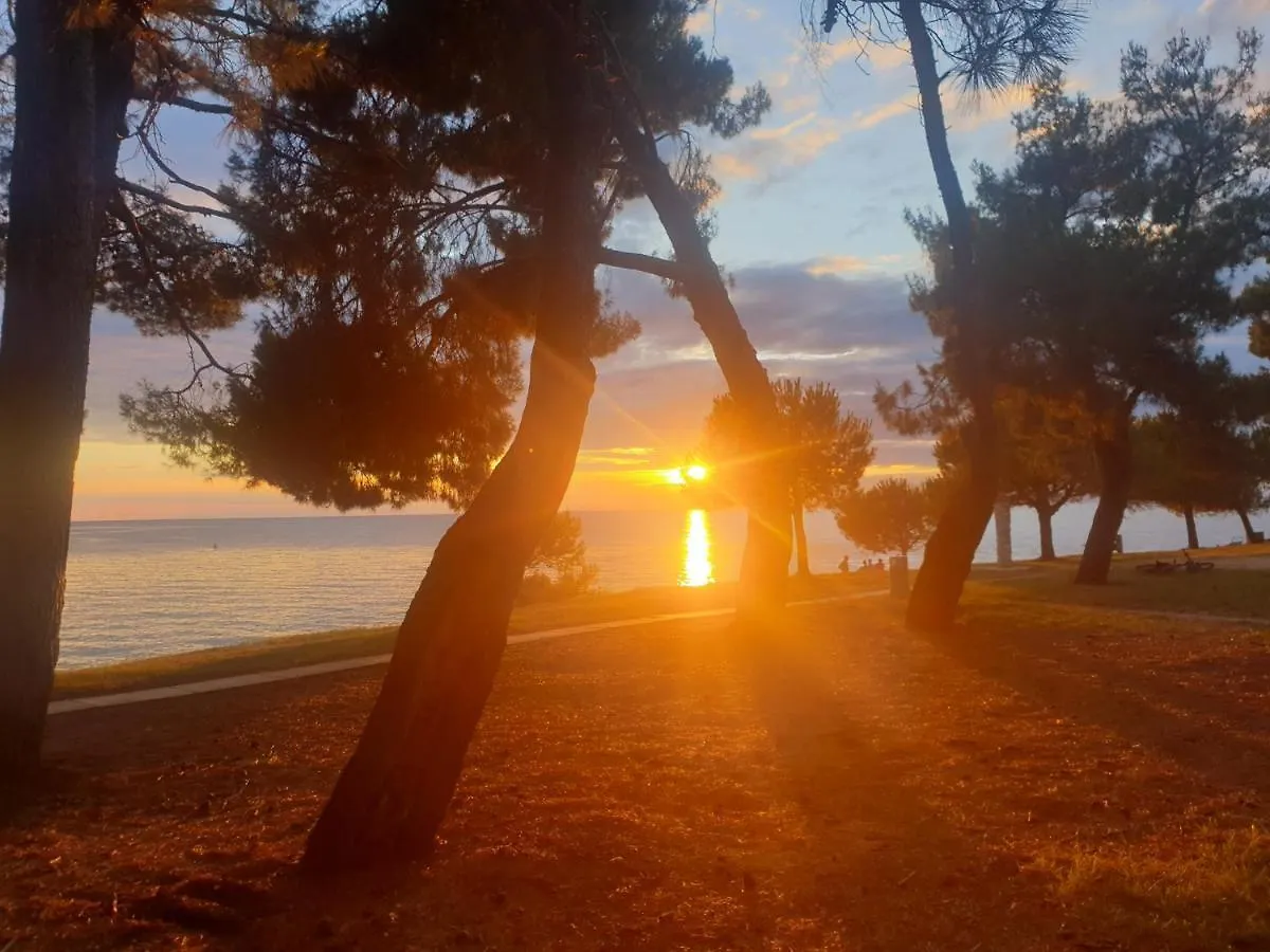 Youth Hostel Pinesta Novigrad Istria