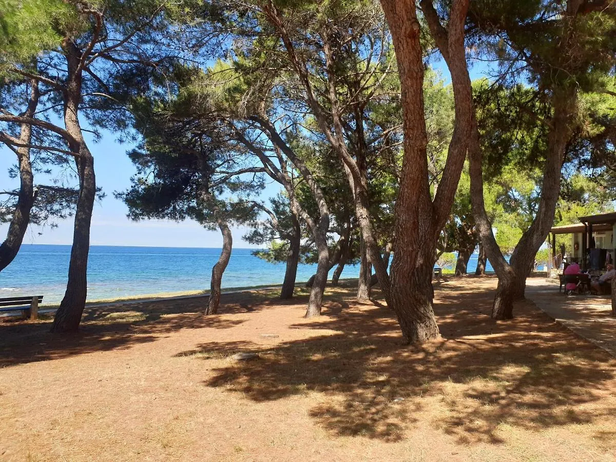 Youth Hostel Pinesta Novigrad