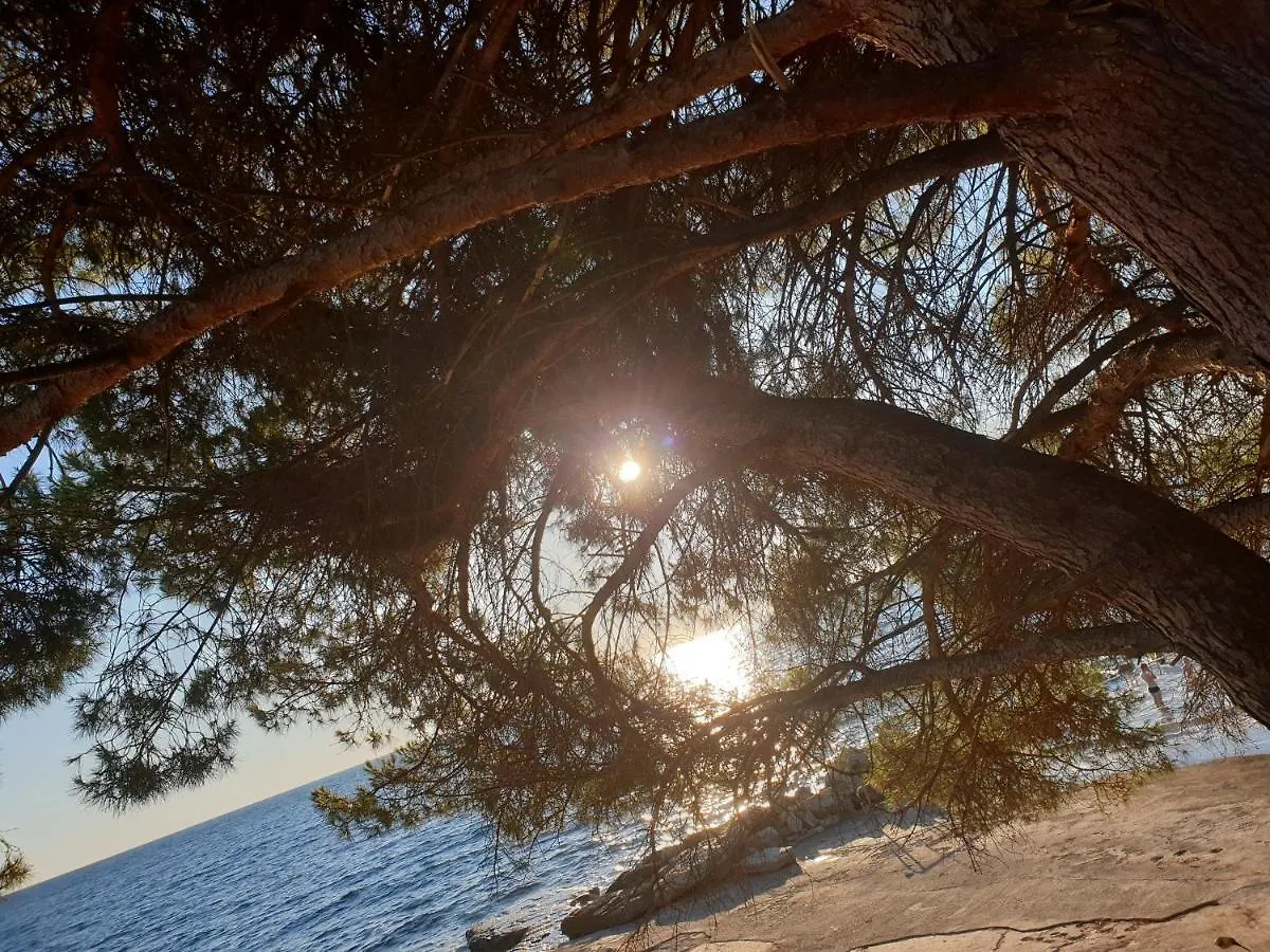 Youth Hostel Pinesta Novigrad Istria